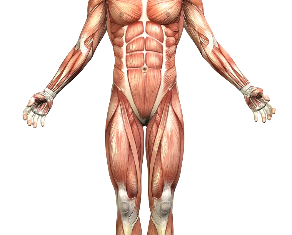Epoch Integrated Health