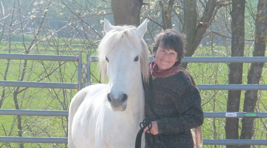 En Synergie Avec Le Cheval