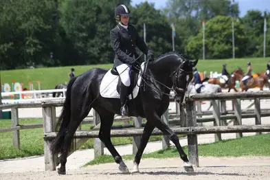 Area Equestrian Des Pins