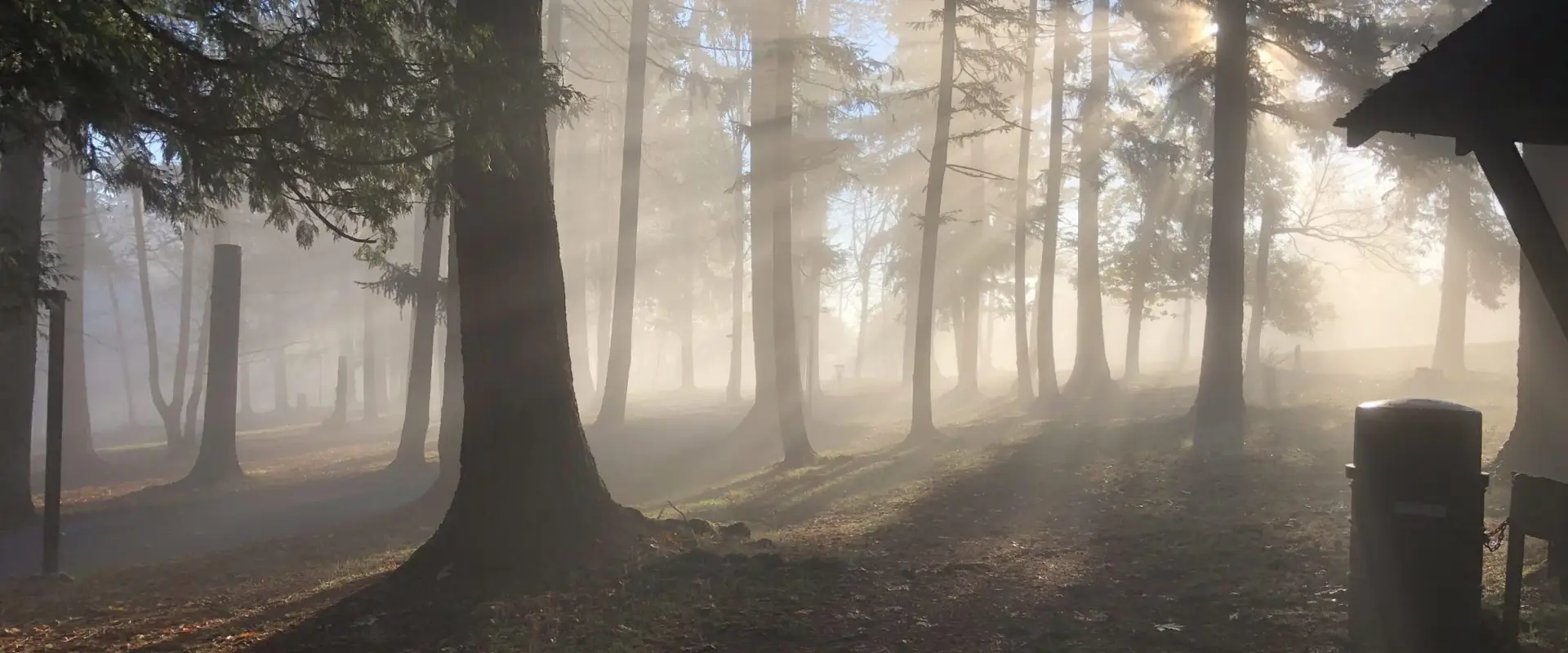 Doumont Disc Golf Course