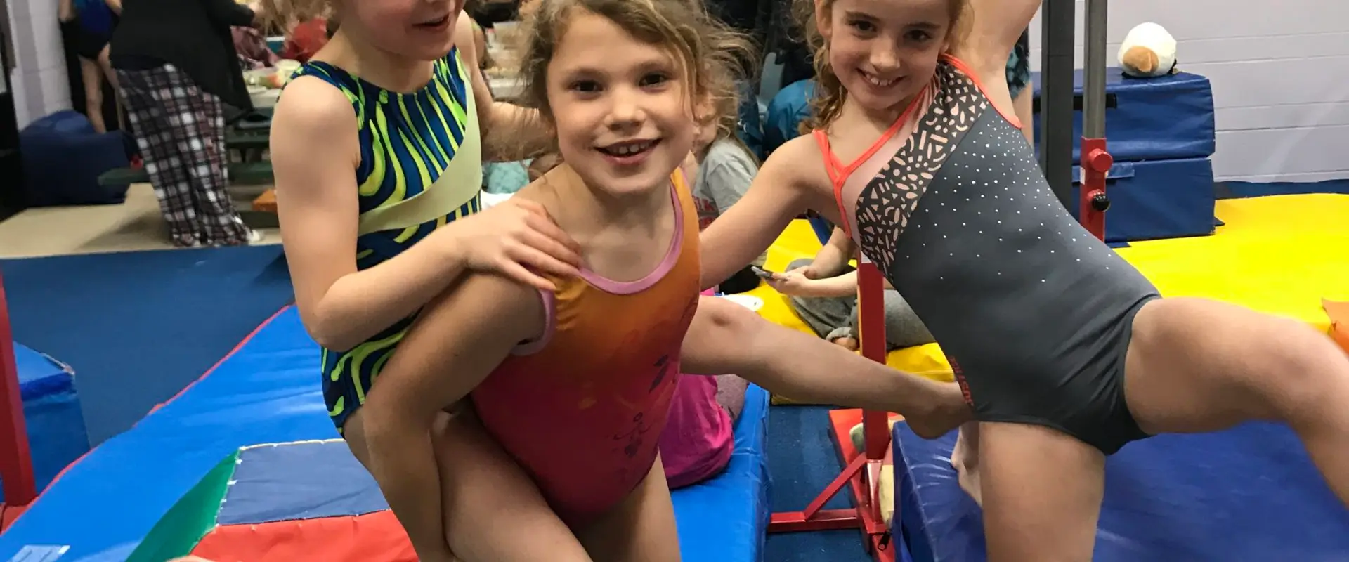 Muskoka Limberettes Gymnastics Club