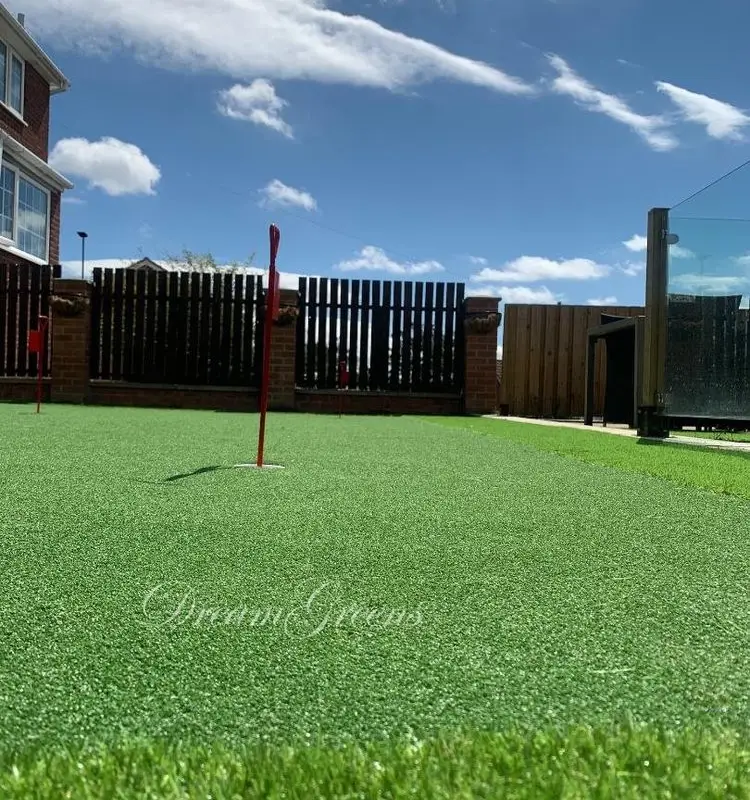Dream Greens