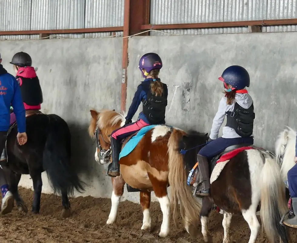 Ecurie Chauville Equestre