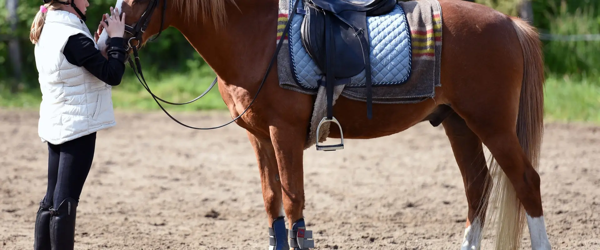 Animal Biomechanical Professionals Australia