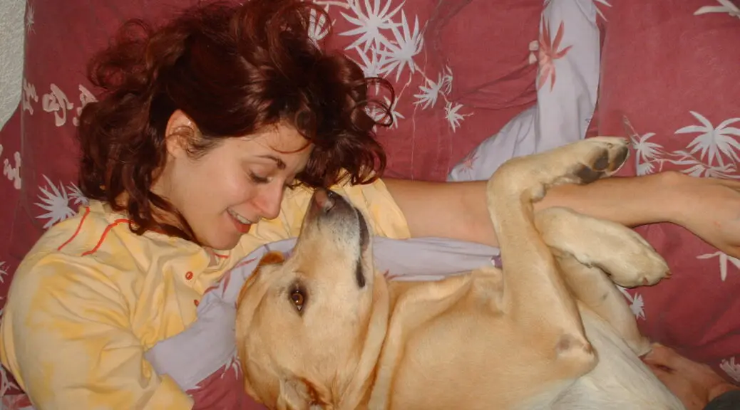 Cani-coach Paca