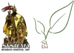 Systema Academy Matt Hill