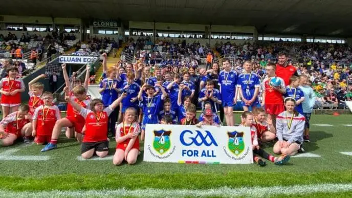 St. Peter's GAA Club, Warrenpoint