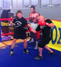 Boxercise Bootcamp - Boxing Fitness
