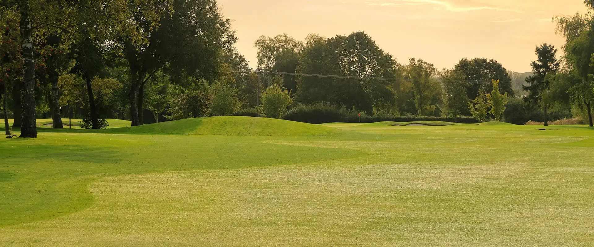 Ely City Golf Club