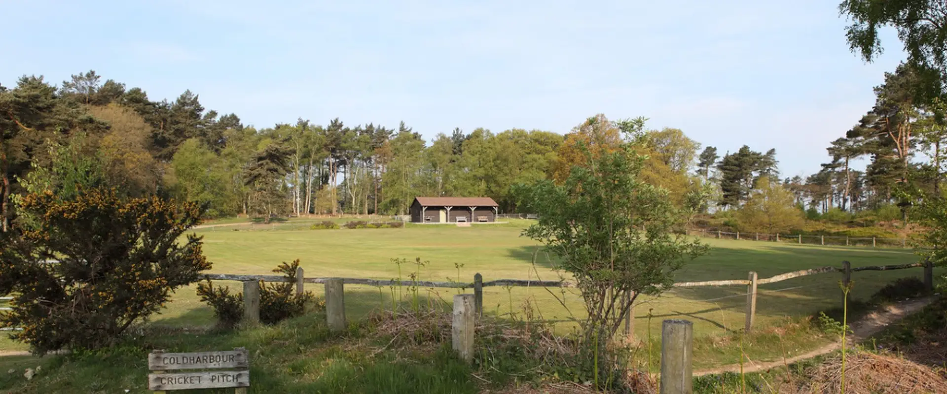 Coldharbour Cricket Club