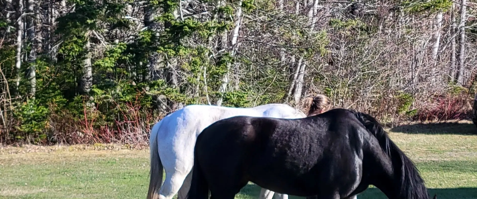 A Few Good Mares Riding Adventures