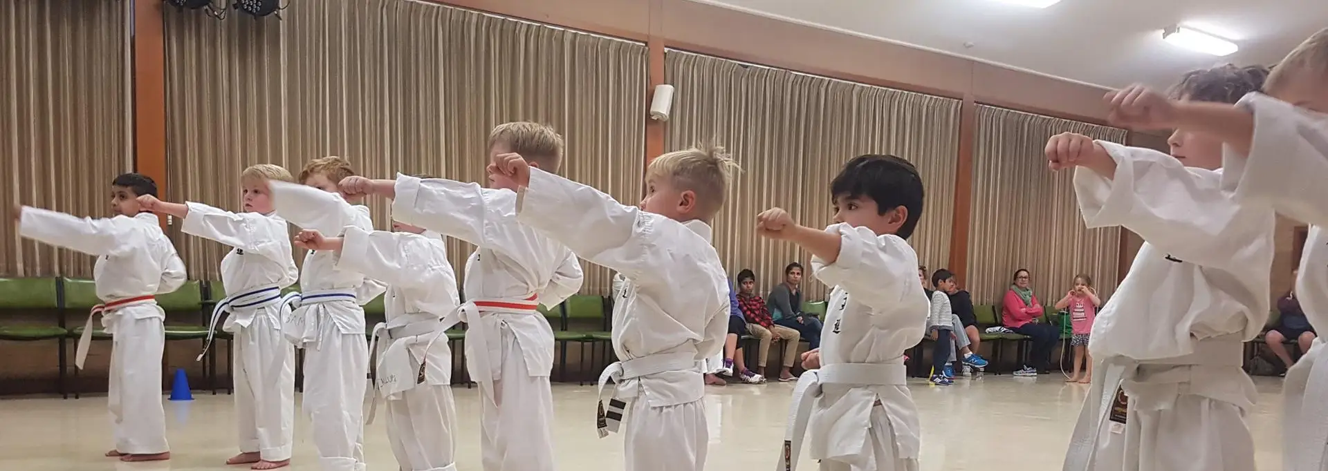 Merv Nelis Zenshin Martial Arts Academy