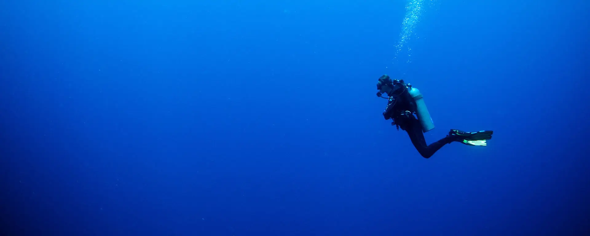 Dream Divers Ltd