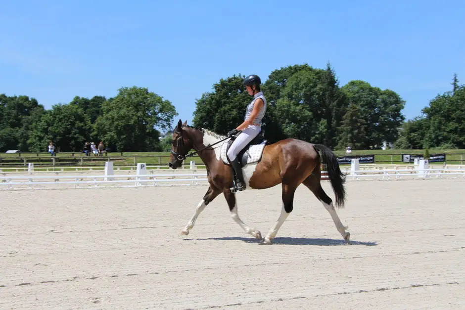 Stables Ar Koed Aour