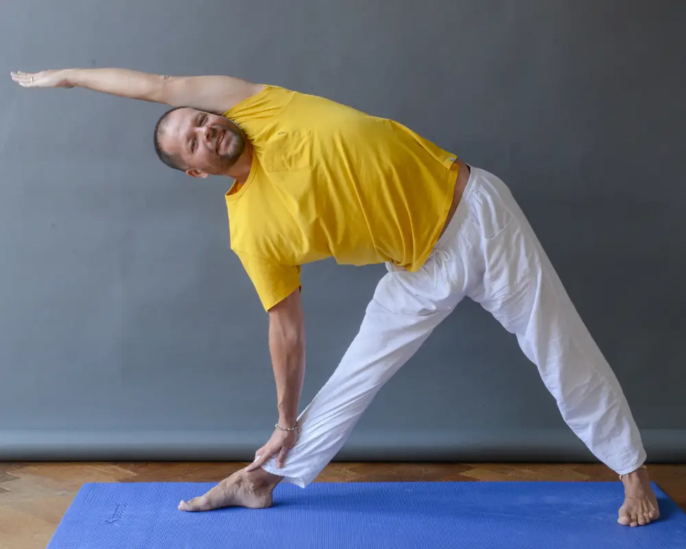Yoga Palmeira