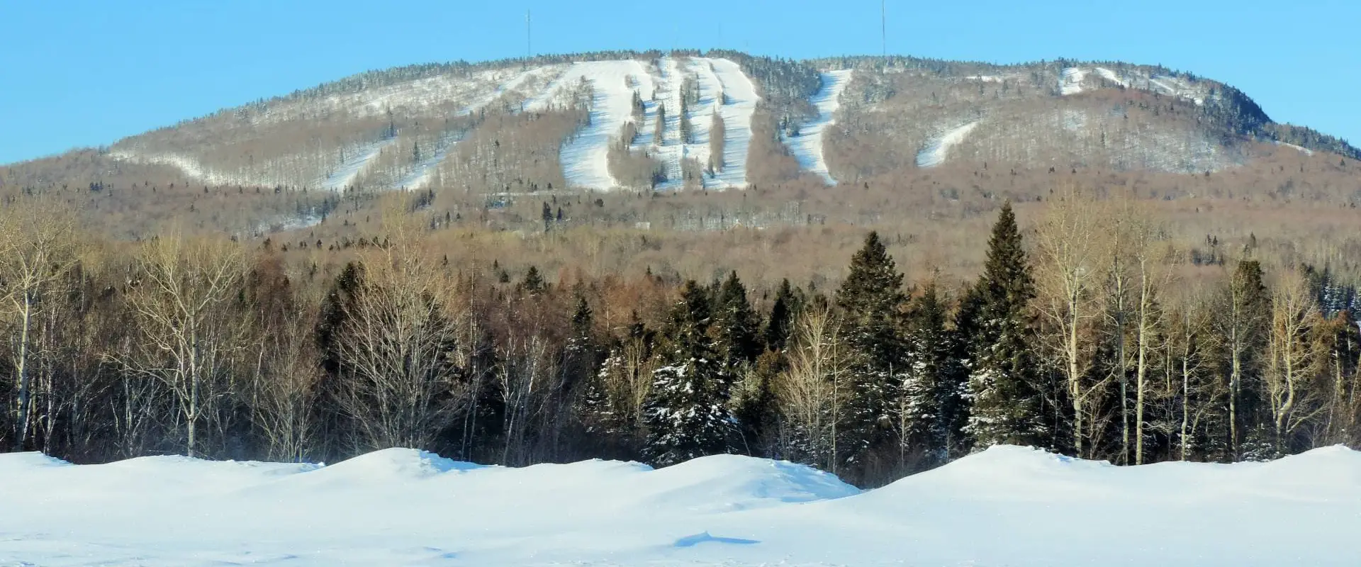 Mont-Comi Park