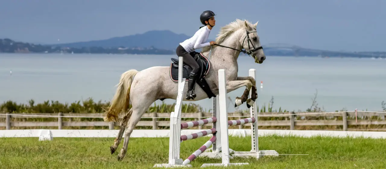 Te Atatu Pony Club