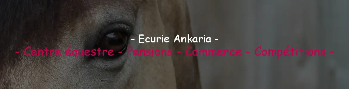 ECURIE D ANKARIA