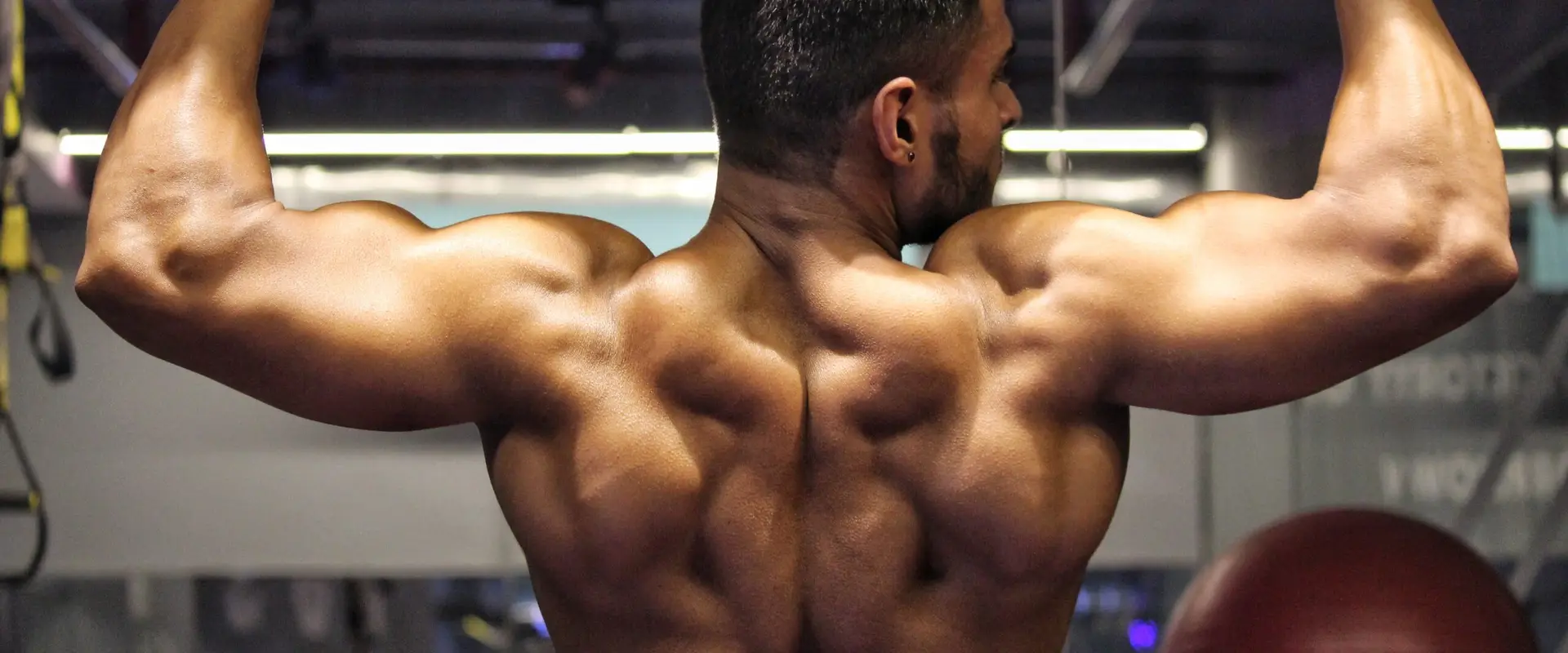 Body Scientist Gym