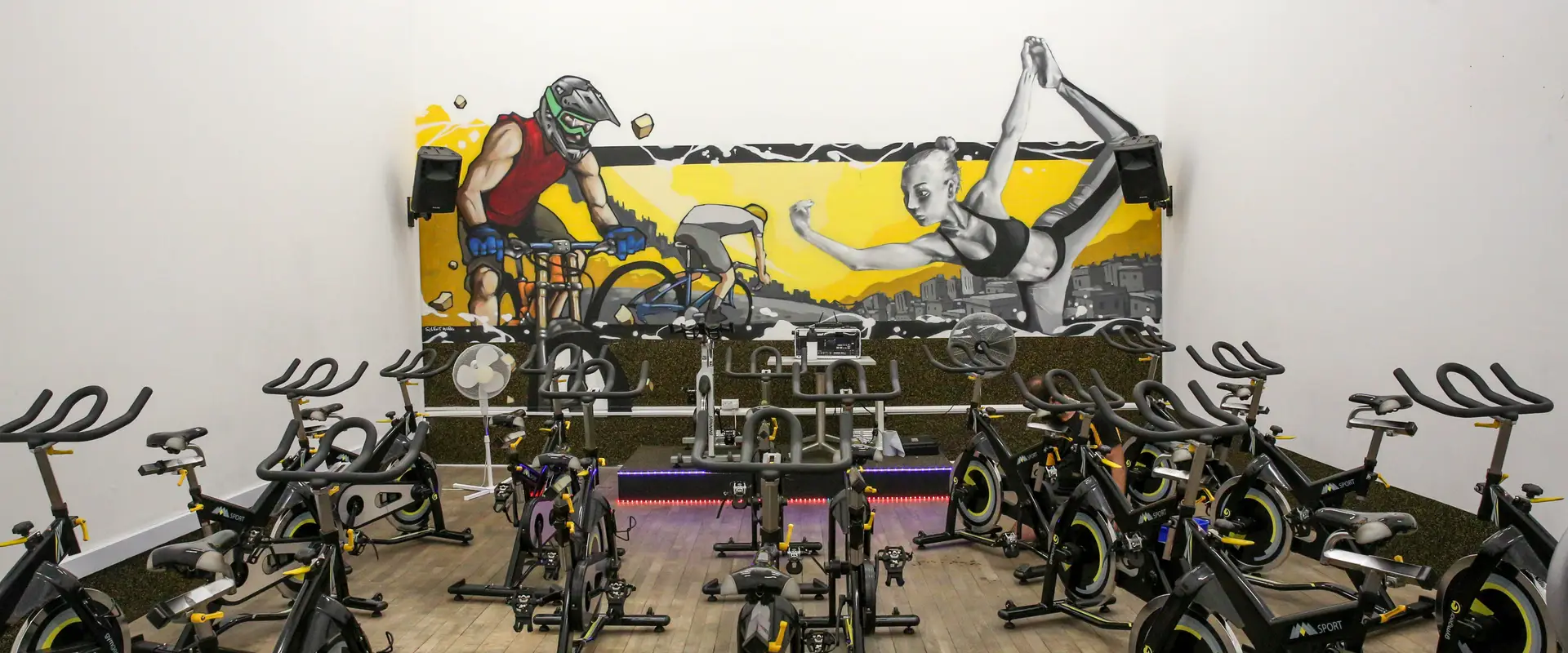 BS7 Gym