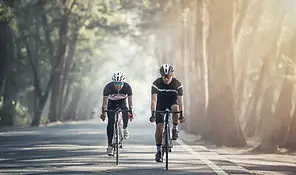 Evolution Cycle Training