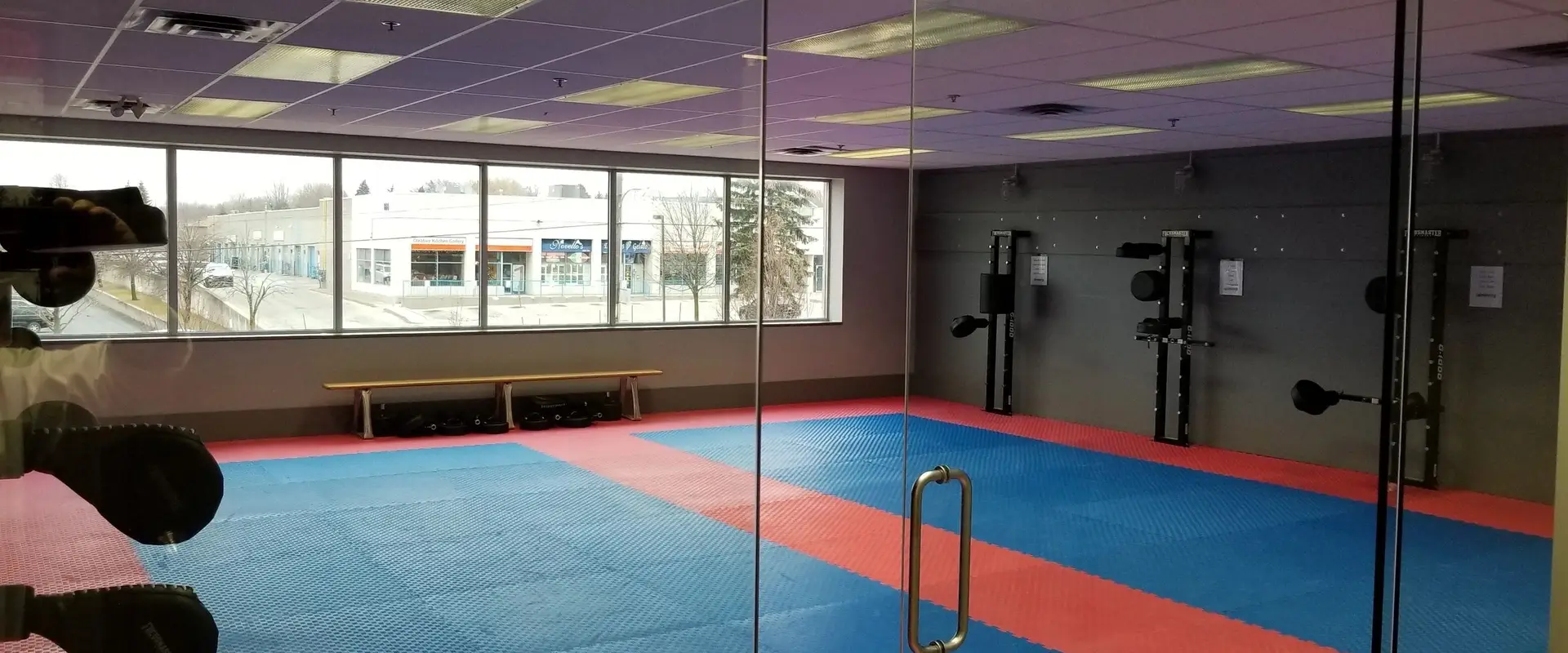 Champion Taekwondo