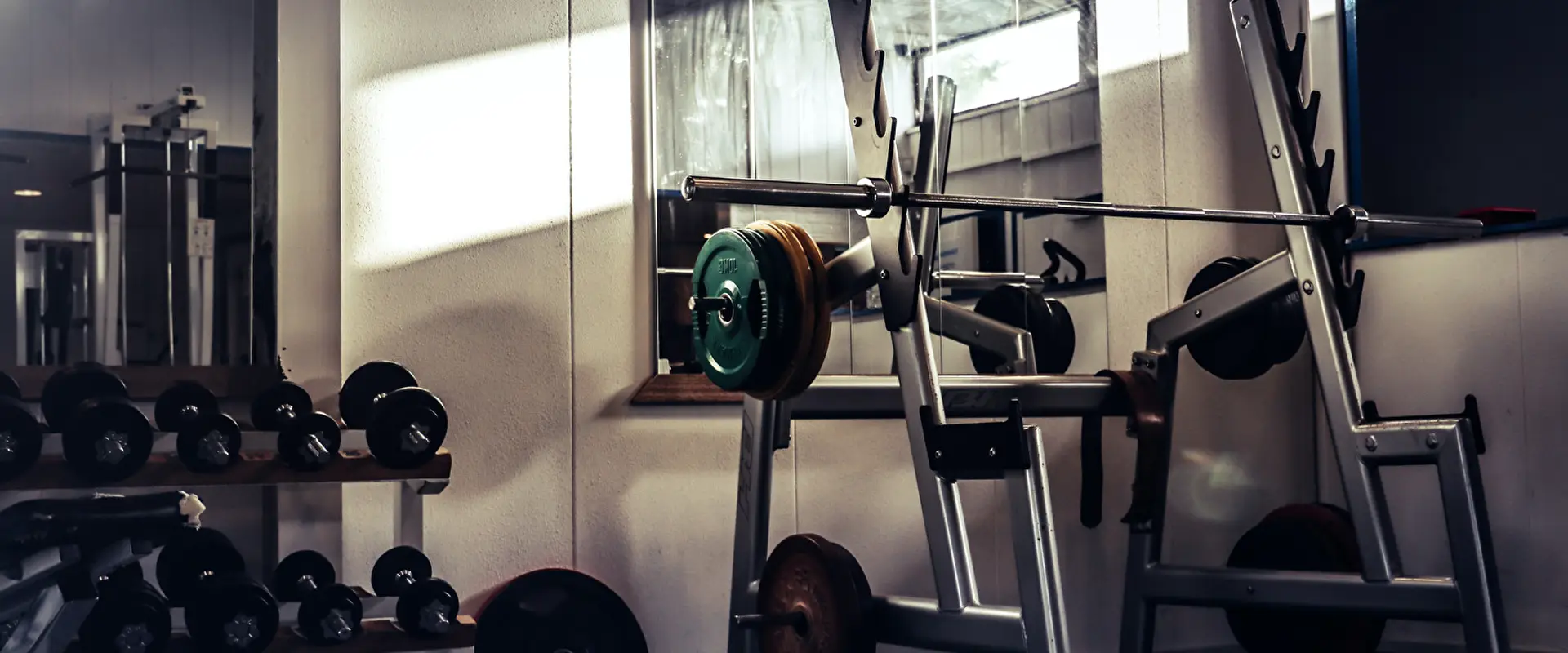TAC Musculation