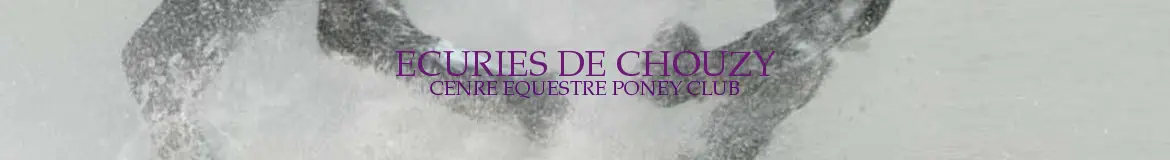 Les Ecuries De Chouzy