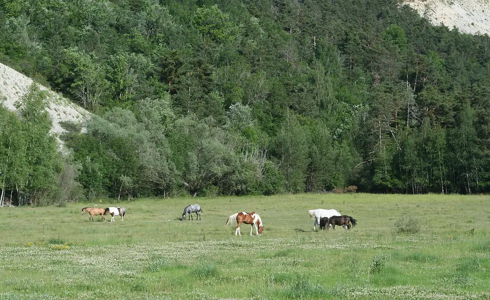 Le Sabot Du Verdon