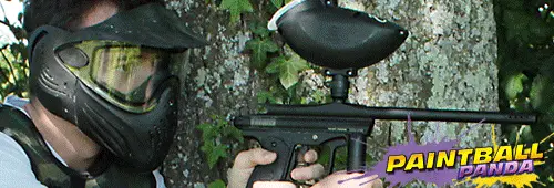 Paintball panda