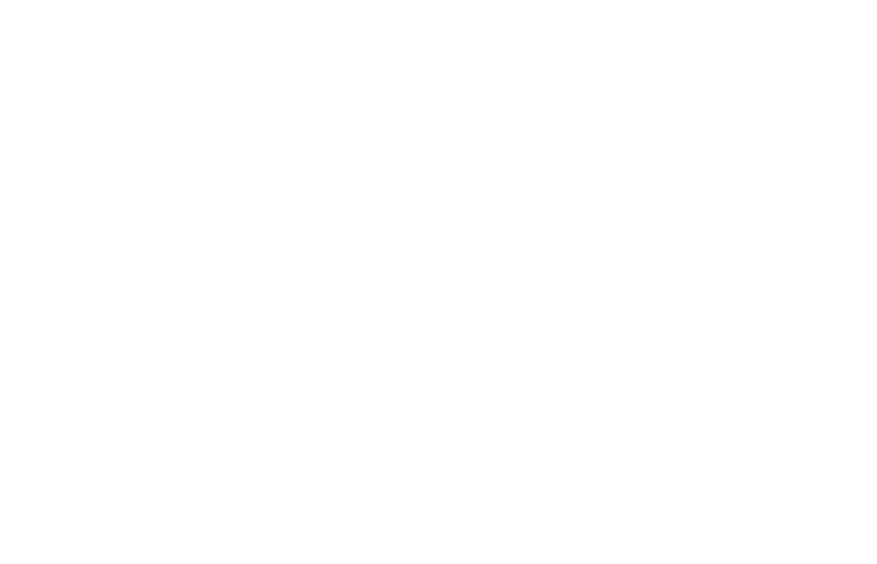 LOT OF SPORTS LAC VERT CATUS