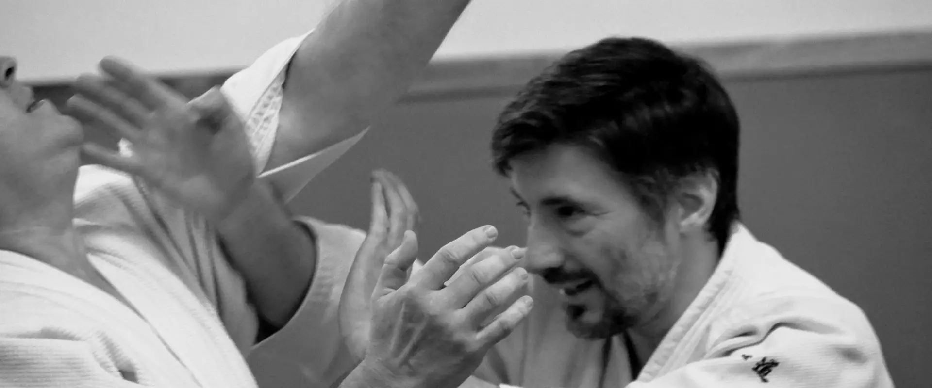 Aikido Canejan