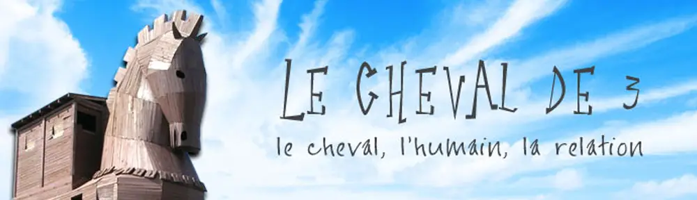 LE CHEVAL DE 3