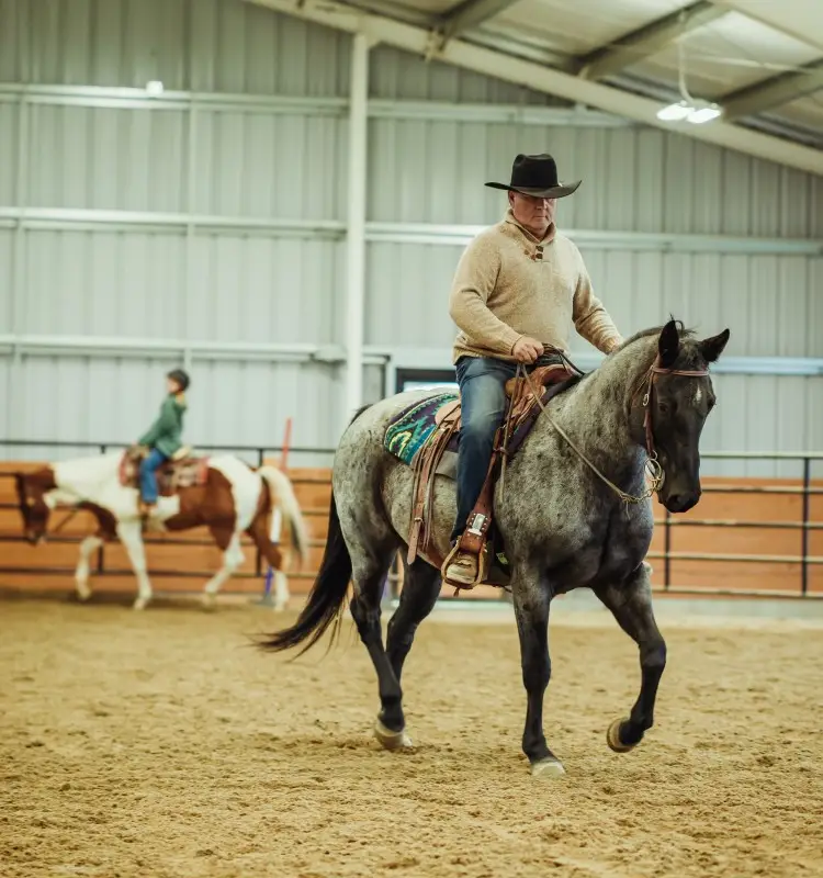 West Kelowna Stables