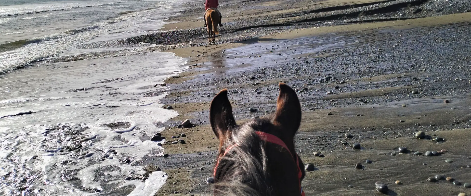 Orepuki Horse Treks