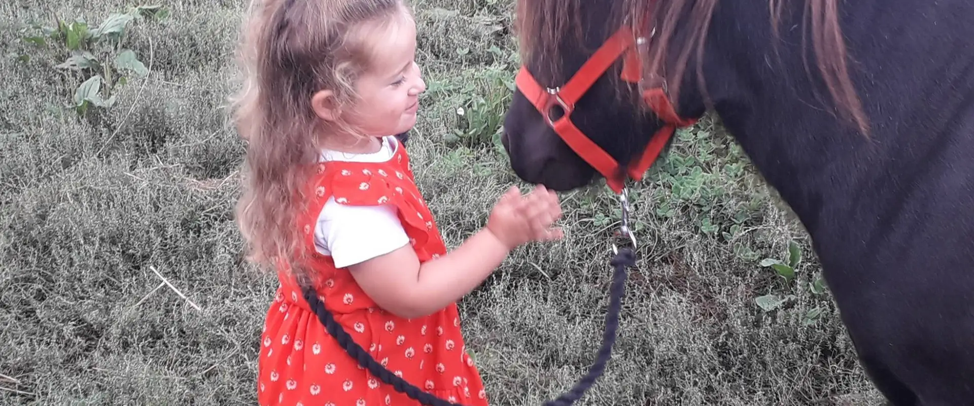 Breizh Equitation