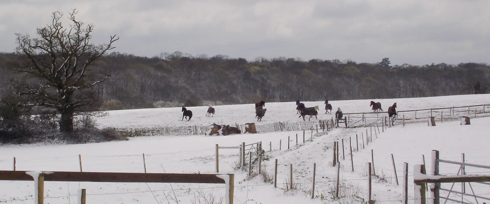 Little Leigh Farm Equestrian Centre