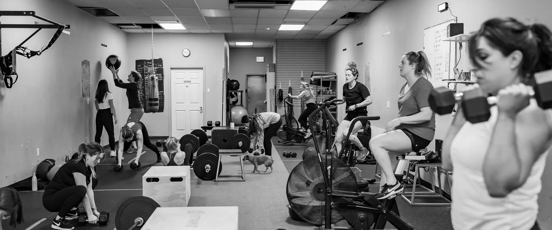CoastLife Strength & Conditioning