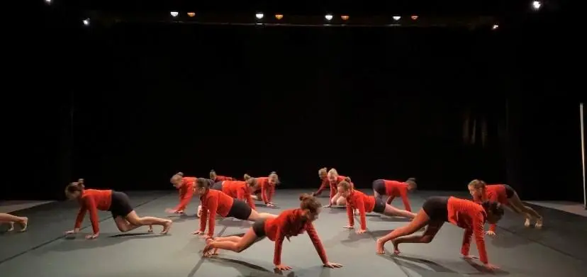 M Laure Danse