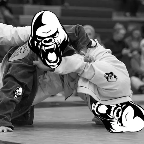 Gorilla Fight Gear