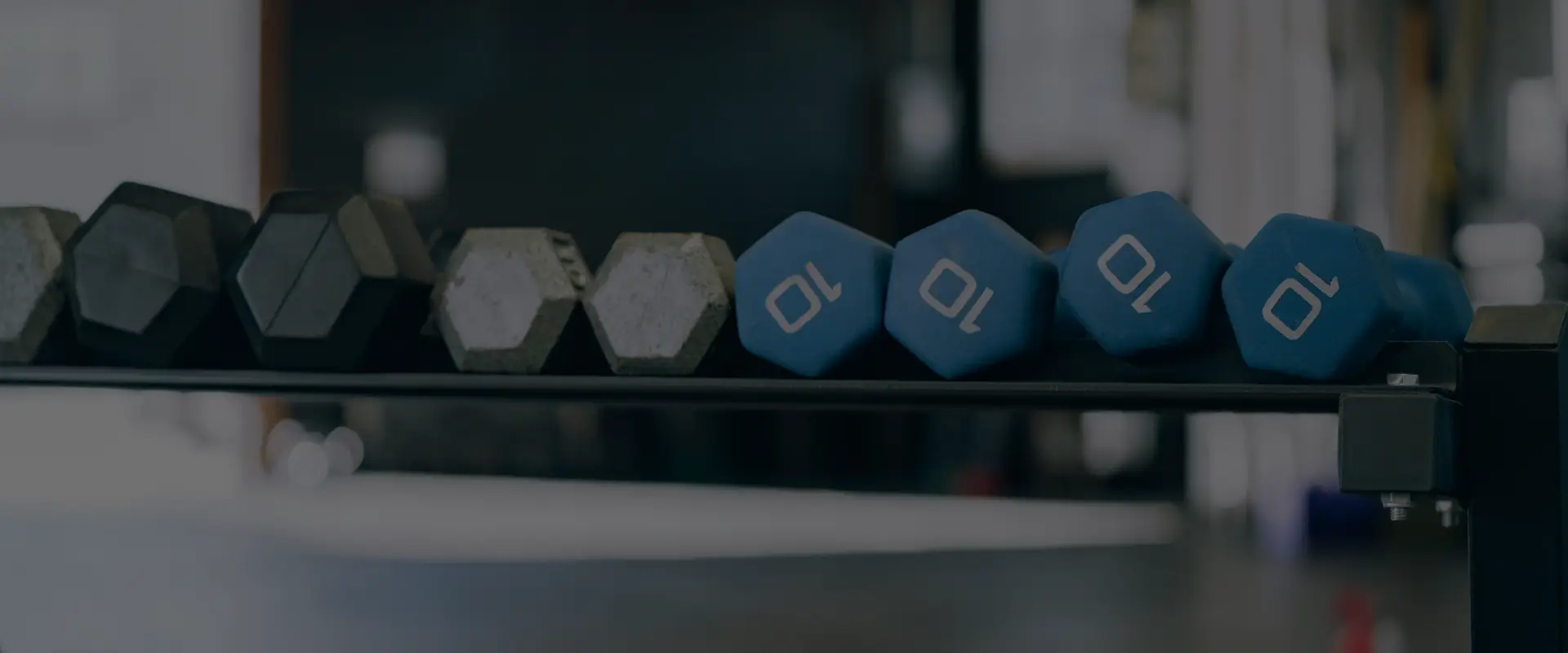 BASE GYM