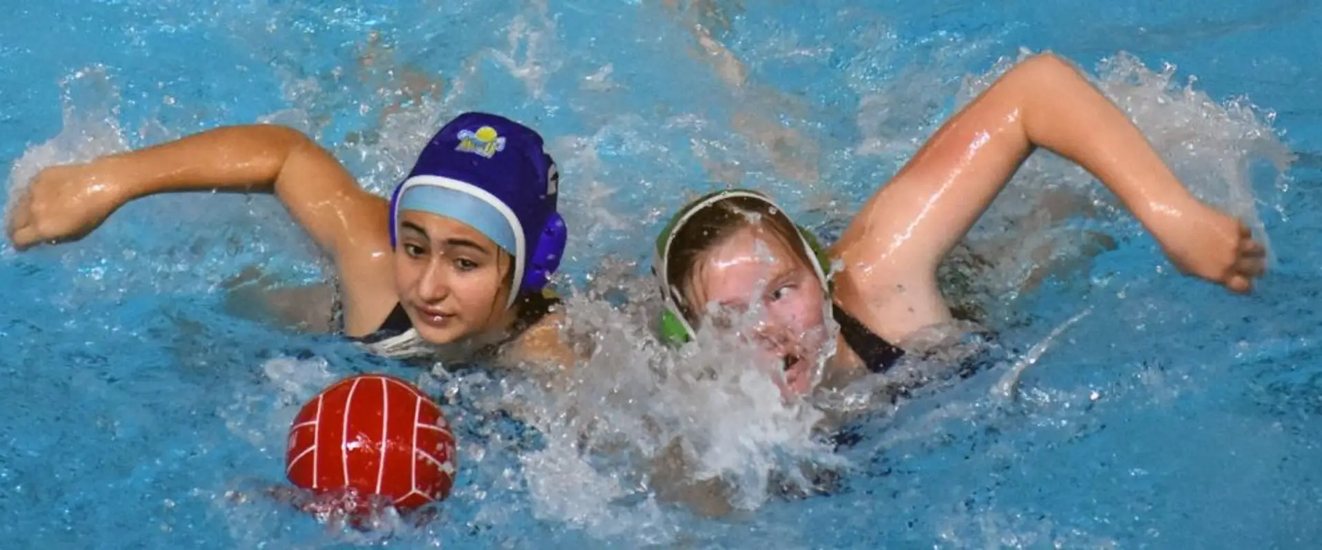 Calgary Wild Water Polo