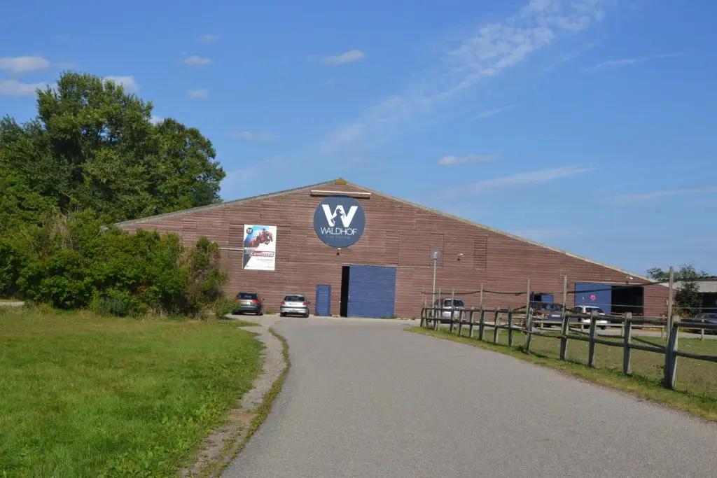 Horse Riding School Du Waldhof Equestrian Center Ville De Strasbourg