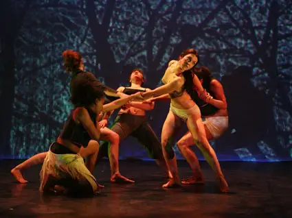 Compagnie ELEMENTS - danse contemporaine