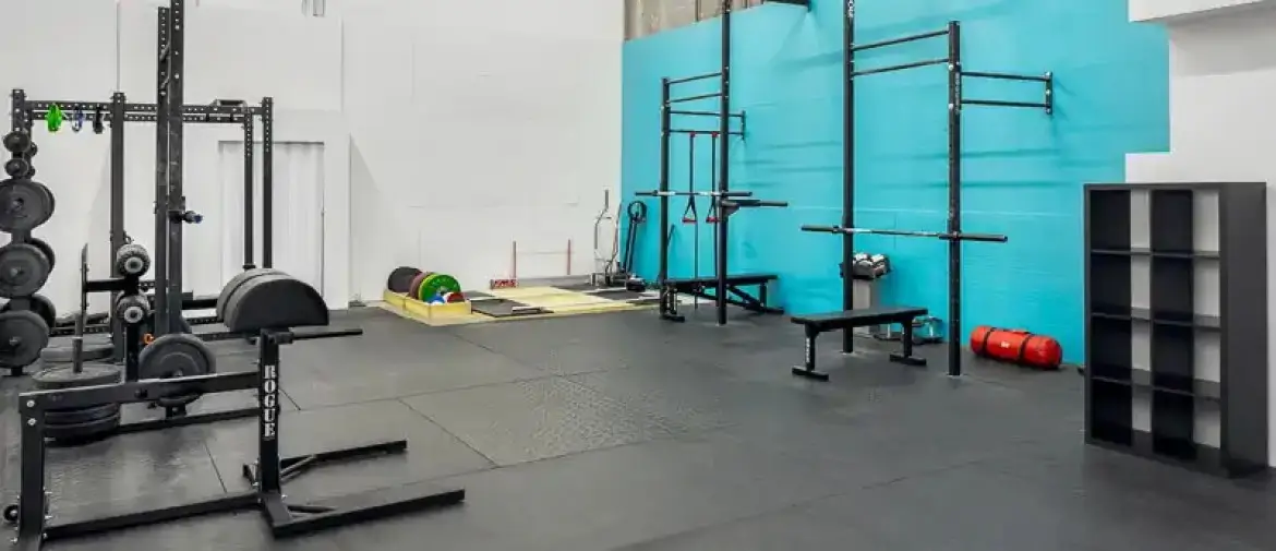 APEX THE GYM