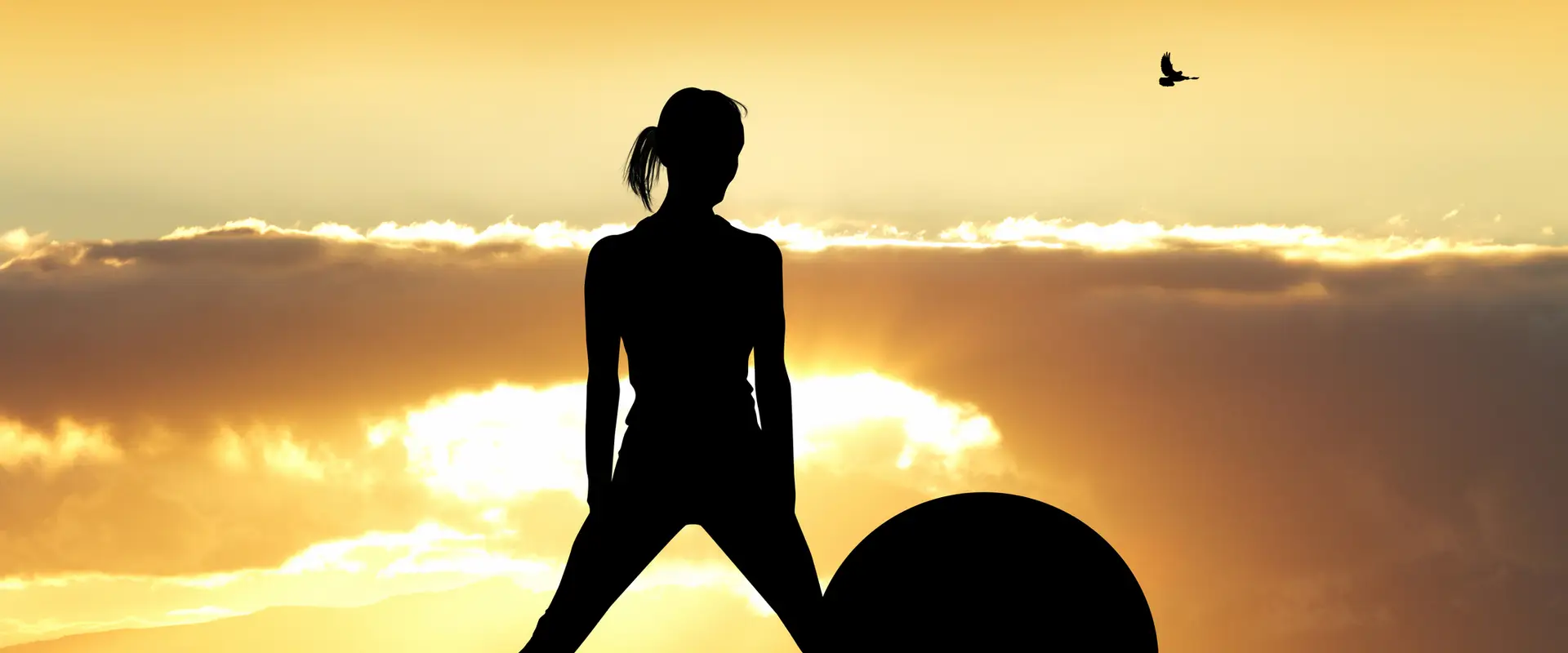 Wellness Pilates for Body & Mind