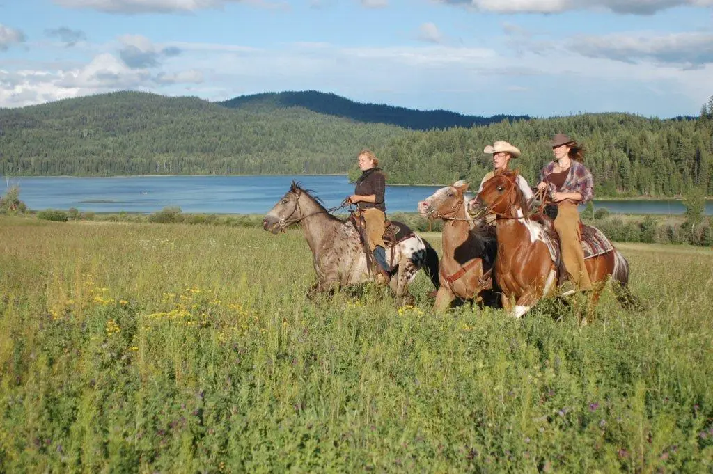 Spring Lake Ranch