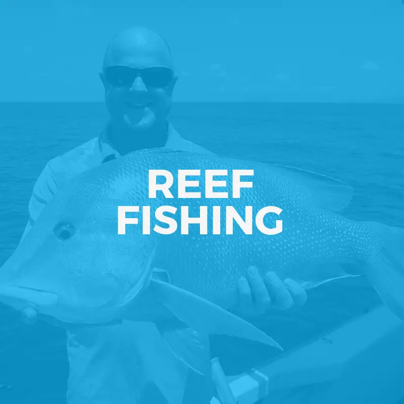 Fish Tales Cairns Fishing Charters