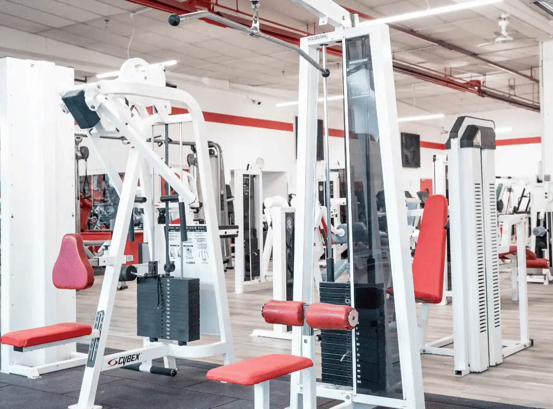 Panthers Gym