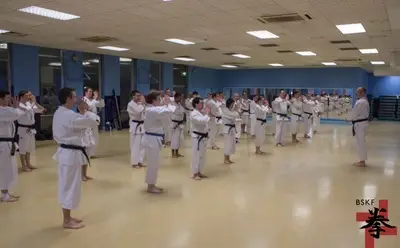 Shorinji Kempo - London Self Defence Martial Art